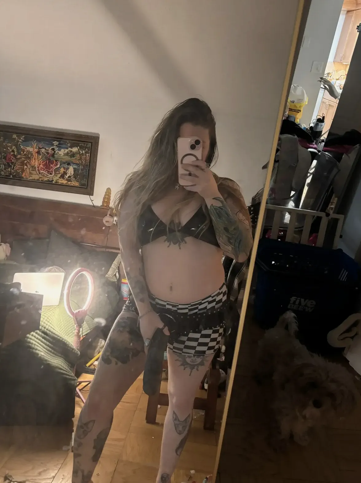 miso horny 1