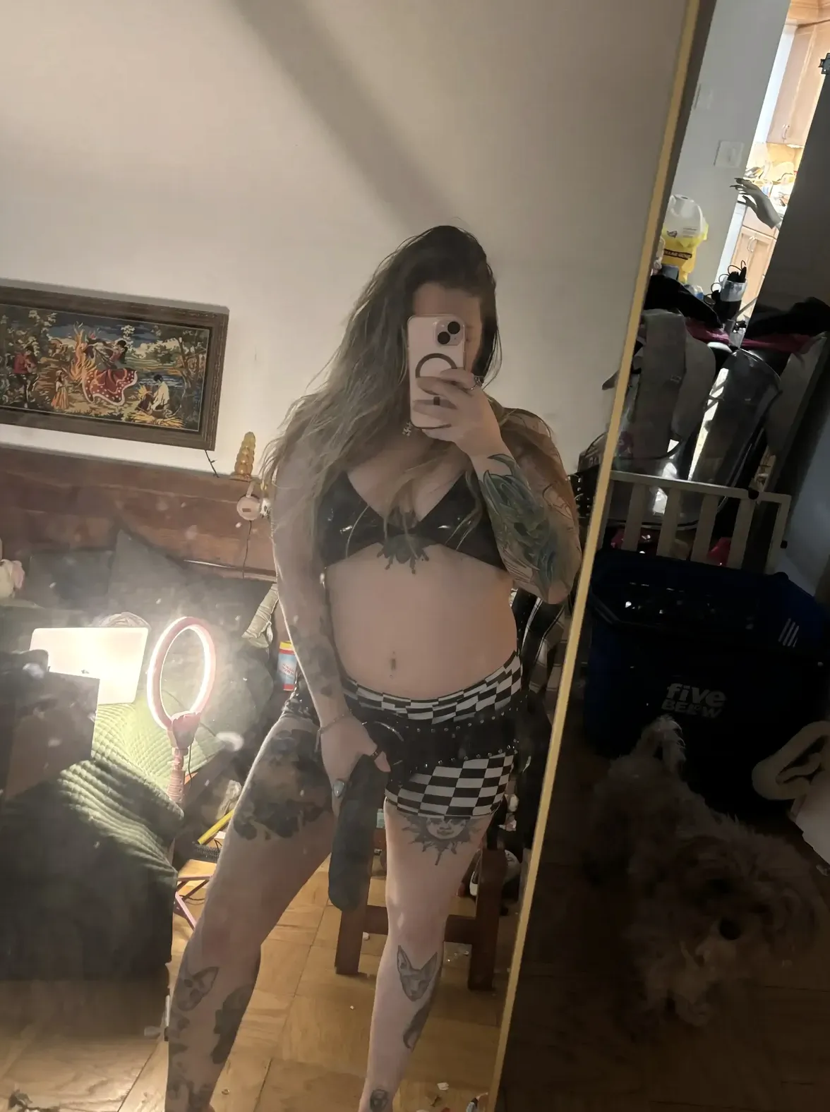 miso horny 2