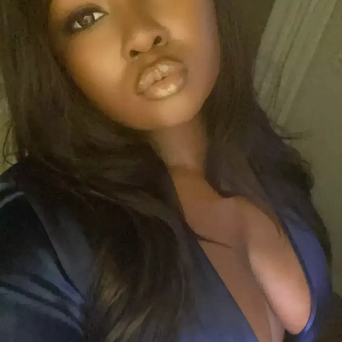 misspeabody dt 2